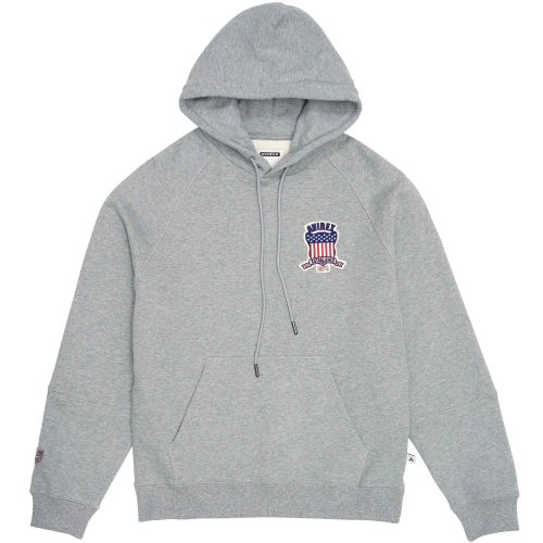 Avirex-USA-Mens-Icon-Pullover-Hoodie-Gray-Front